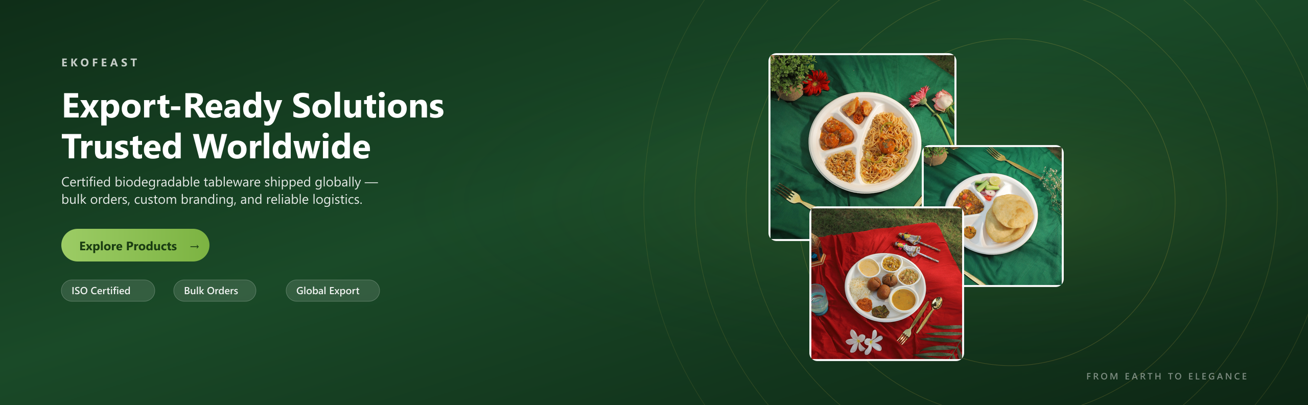 EkoFeast export-ready compartment plates and trays serving global cuisines — Indo-Chinese, Indian, and traditional meals